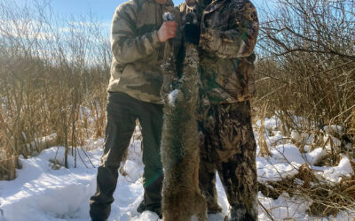 21- Michigan Bobcat Hunt